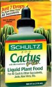 Cactus Food