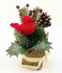 Festive Cardinal #9804