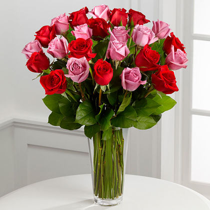 Premium-24 Roses