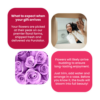 The Lavender Rose Bouquet by FTD