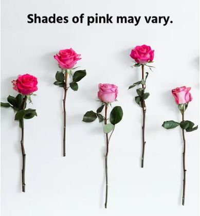 Premium Long Stem Pink Rose Bouquet Vase FTD
