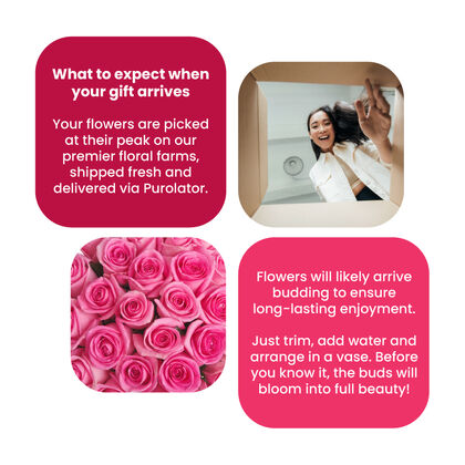 Premium Long Stem Pink Rose Bouquet Vase FTD