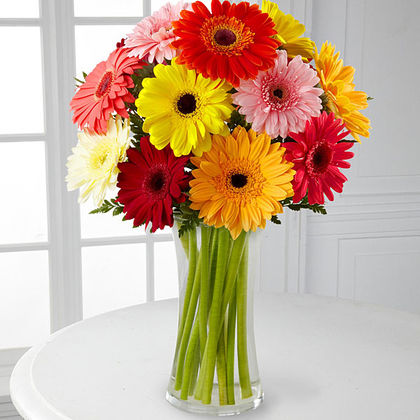 Deluxe-12 Mini Daisies- Clear Vase