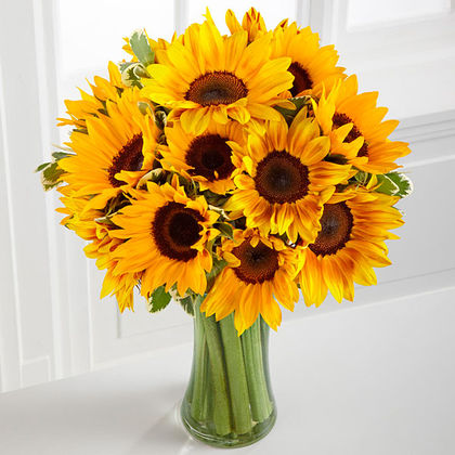 Ultra Premium-15 Sunflowers with Vase