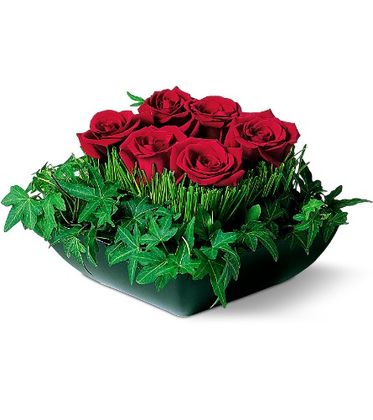 Simply Roses