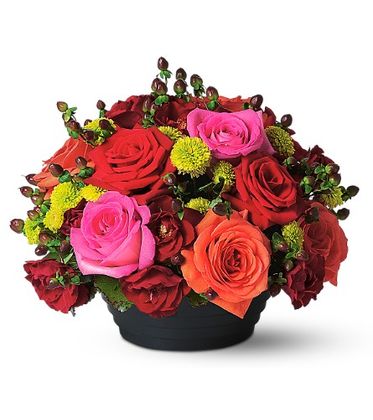 Everything's Rosy