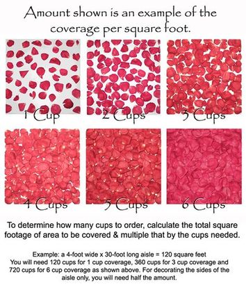 Red Rose Petals