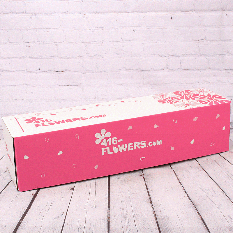 24 White Roses